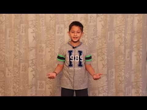 Animals Are Not To Look At! | Kushagra Jain | TED Ed Club The Learners