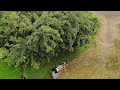 Godrej Mangrove Park In Maharashtra India Like And Subscribe