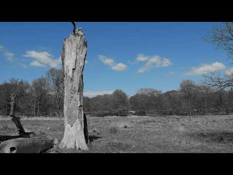 KalikAlejaWP -  Fatamorgana prod.  NWS