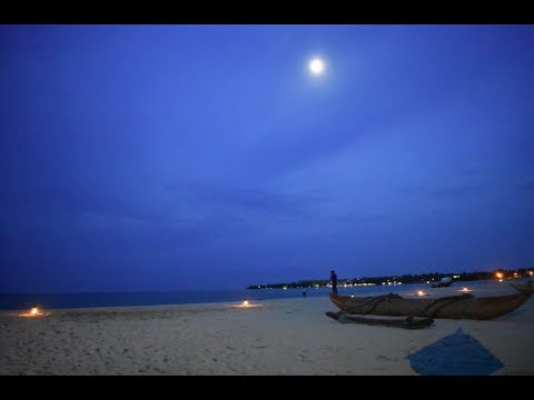 Into the beach - Trinco