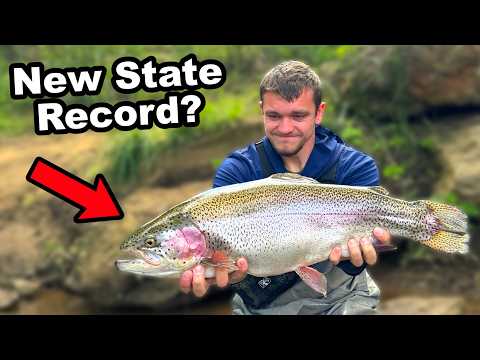 Can I Catch the State Record Rainbow Trout?