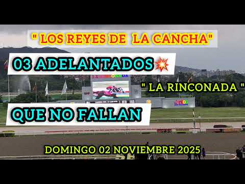 #horseback riding 03 ADVANCED FOR THIS #Sunday 02 #November #2025 in #larinconada #horse #horses