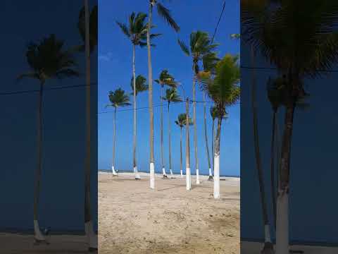 Canavieiras-BA