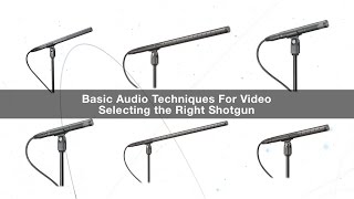 Microfono A Fucile Audio-Technica AT897 A Condensatore - Quasi Nuovo Con Custodia, Testato