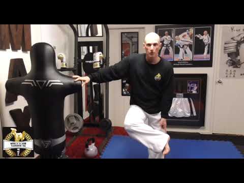 Martial Arts Performance Tips - Developing lightning fast high kicks with Multiple World Kman McEvoy