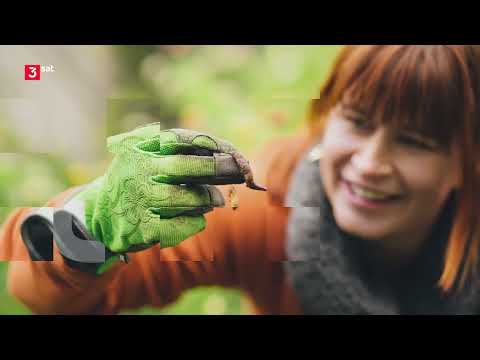 Querbeet: Gartenreise durch Irland Doku (2018)