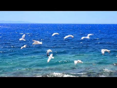 Musique Relaxante - Vidéo HD - Paysages, Nature... Relaxation