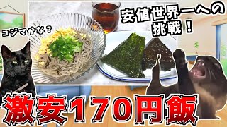 【激安飯】170円でたぬきそばとおにぎり揃えたった【猫ミーム】