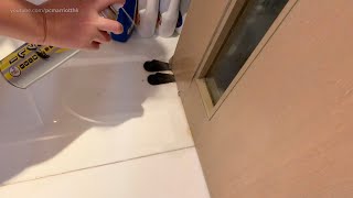 Spraying and Killing Cockroaches at home in Hong Kong 蟑螂 | 香港