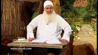 (7) جاهد حتى تألف |( برنامج ذوق الثمرات )| الشيخ المربي محمد حسين يعقوب image