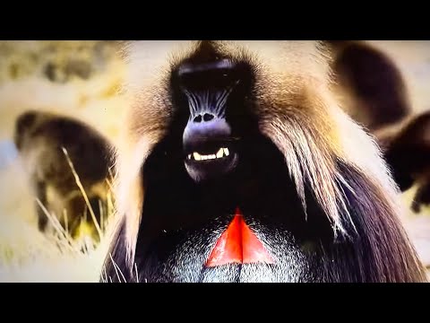 Generik - Racket (Official Video)