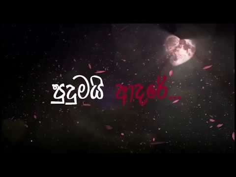 පුදුමයි ආදරේ LYRICS (edit by Theekshana)T-MAX Creations