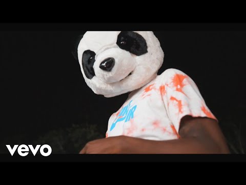 K Lion - Private Zess (Official Video) ft. LRG