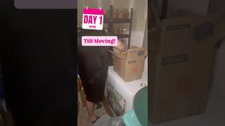 How am I moving ALLLLL my #canning jars to the NEW #homestead !? @forjars