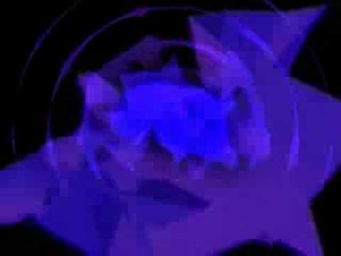 Kaboduca e Ramiro Musotto torcazas-ledakerouac DVD SUDAKA ao VIVO.04