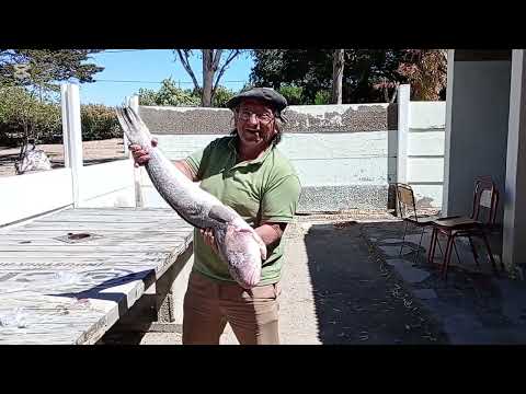 Viaje a Camarones,Chubut.