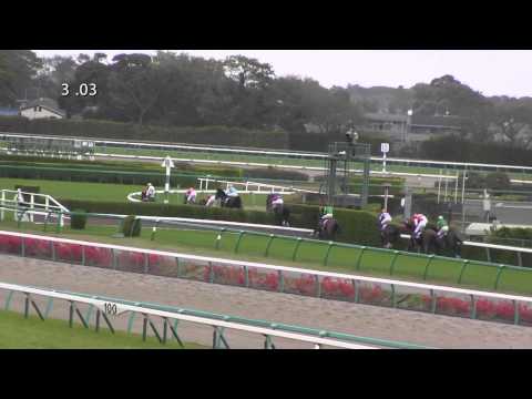 2014 中山グランドジャンプ Nakayama grand jump