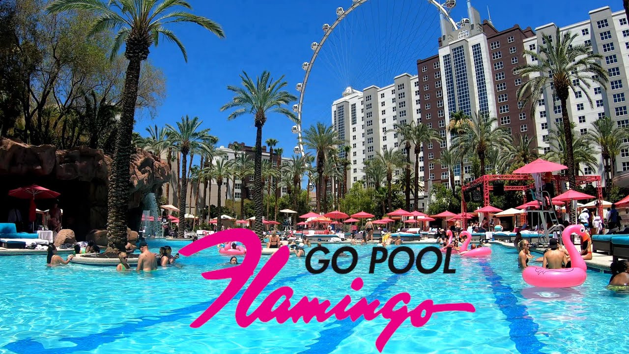 Flamingo GO Pool (21+) Walkthrough (2021)