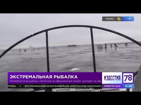 Петербургские рыбаки выходят на лед, несмотря на официальный запрет
