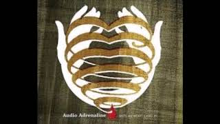 Audio Adrenaline - Until My Heart Caves In