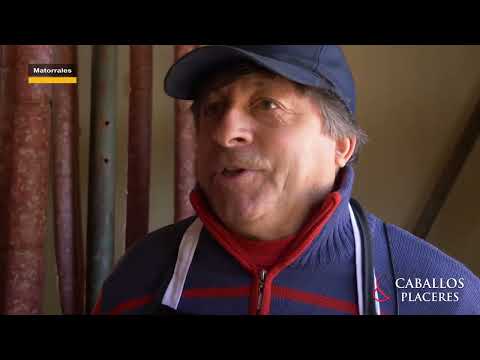 Último informe de la carneada en Matorrales.