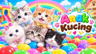 Download lagu ANAK KUCING MEONG MEONG | Lagu Anak Anak | Lagu Anak Indonesia Populer Si Meong Kucing Lucu mp3