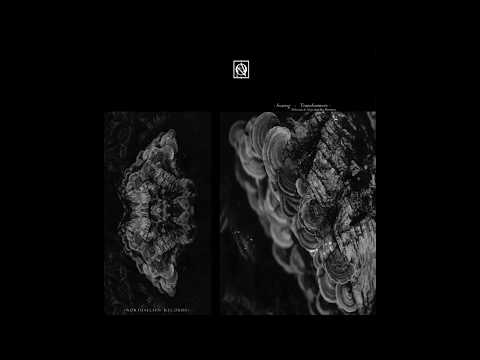 Svarog - Cybertron (Aleja Sanchez Remix) [Northallsen Records]