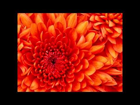 mano sodyba "MINAVUONE"