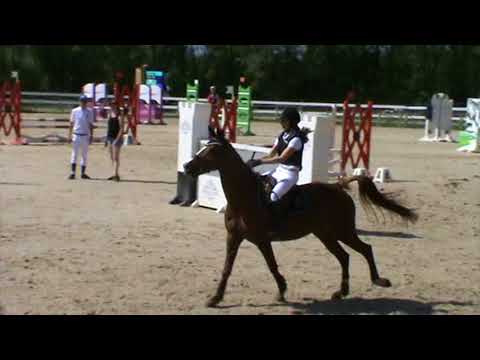 CHA 220418 C3 Unika2