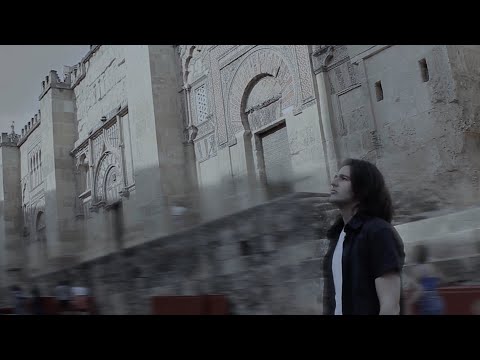 Donde Todo Se Olvida - Estereofitos