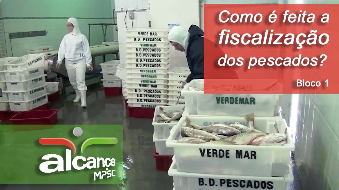 Como é feita a fiscalização dos pescados? Programa Alcance do MPSC - bloco 1