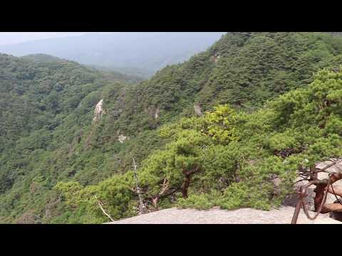 弥三郎岳（ふる里自然観察路）