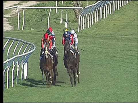 Galoppo 08/03/2017 - 1ª corsa