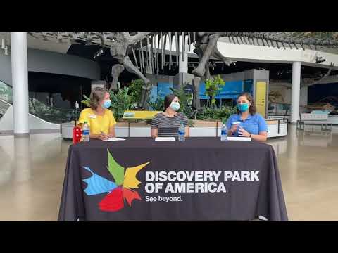 #AskACurator with Discovery Park of America