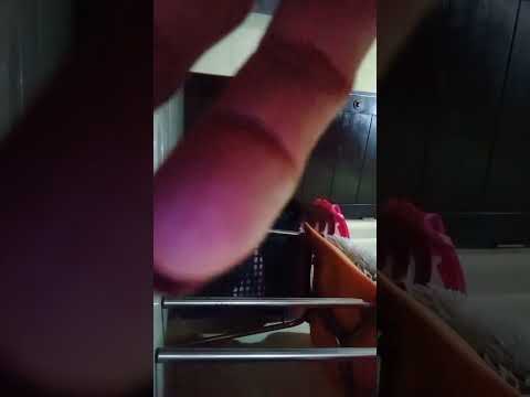 morning playing my cat 🐈🐈🐈