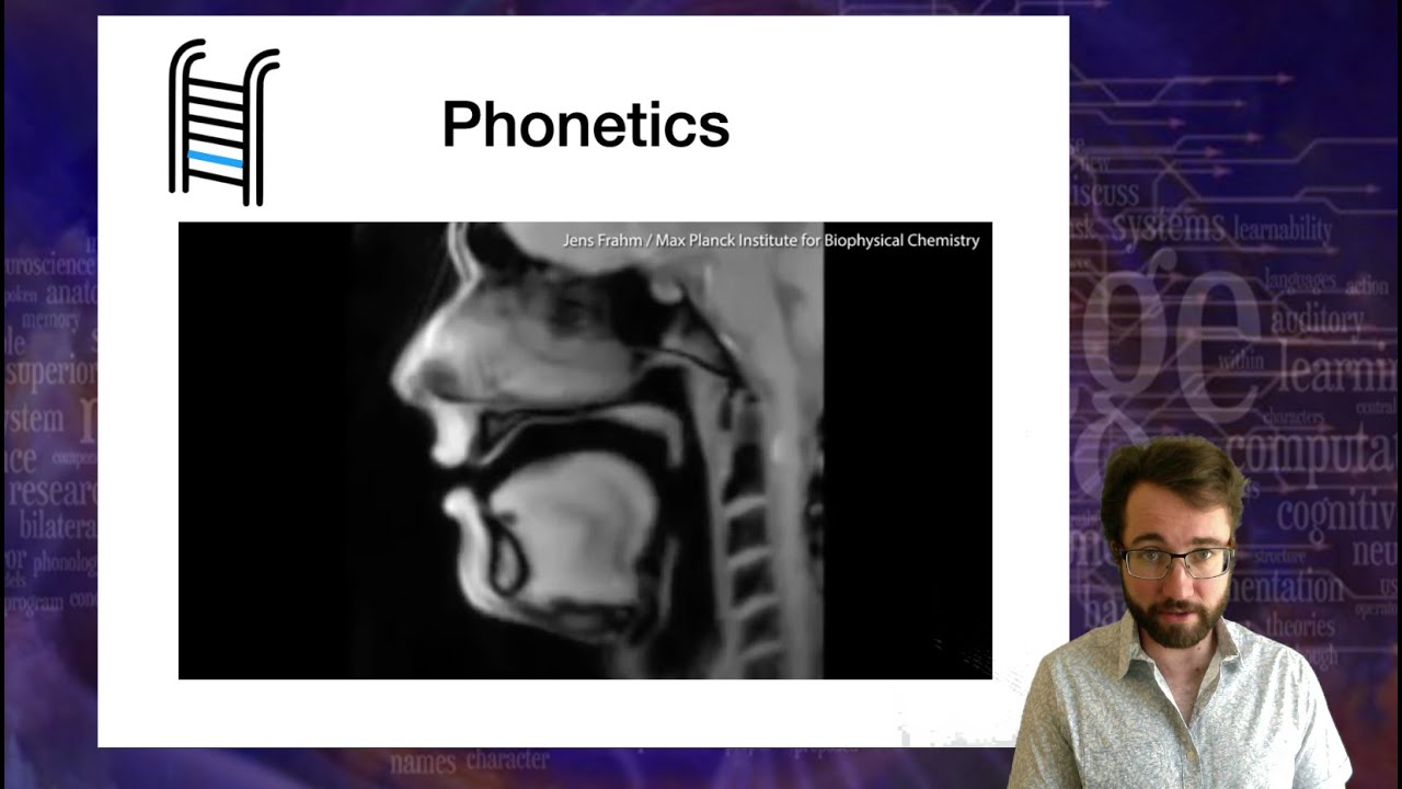 Introduction to Linguistics: Phonetics 1