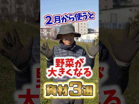  2月に室内に何を蒔く？欠かせない5つの作物  庭園