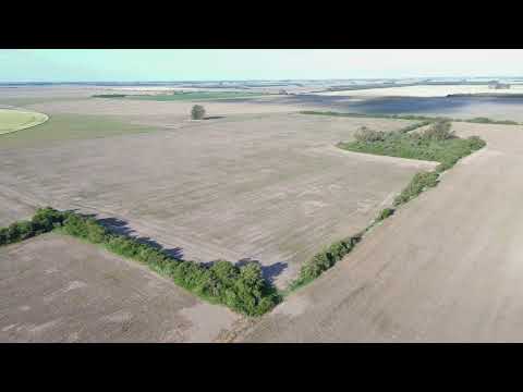 Campo agrícola en venta: Pilar, Córdoba 