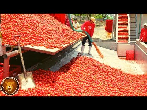 The 15 fastest workers in the world