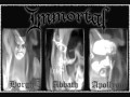 immortal-as the eternity opens(true black-metal norvegian).wmv