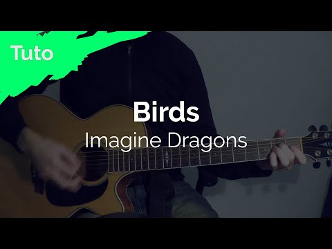 Tuto Guitare Facile - Imagine Dragons ( Birds ) - Débutant