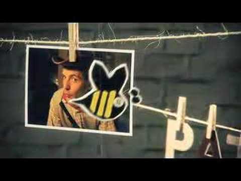 Pat Bol - Les abeilles - Teaser 2