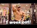 Chest workout & posing 1 week out! ‏أسبوع ‏الا ‏البطولة