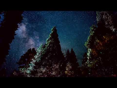 Roger Shah – To The Sky (Instrumental Club Mix)