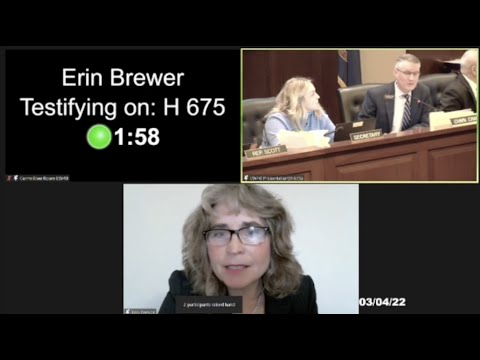 Getuigenis van Erin Brewer voor het Idaho wetgevend orgaan over transgenderzorg