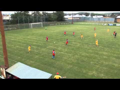 4. kolo 2015/16: FC Viktoria Plzeň - FK Dukla Praha 4:1 (3:0)