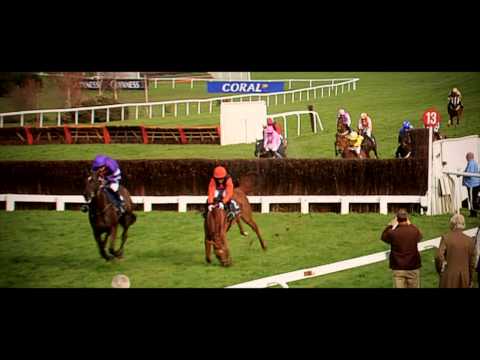 Denman: Legend Of National Hunt