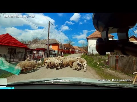 Pe "micul Transfagarasan", de la Cutca spre Sanmartin si Ceaba (Cluj)