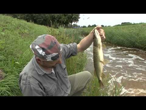 Matze Koch exploring waters in summer - Matze's antics 01- 2012