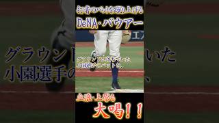 バウアーが小園のバットを蹴り飛ばして、立浪と上原が大喝【プロ野球】